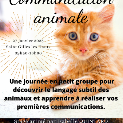 Stage découverte communication animale 27 janvier