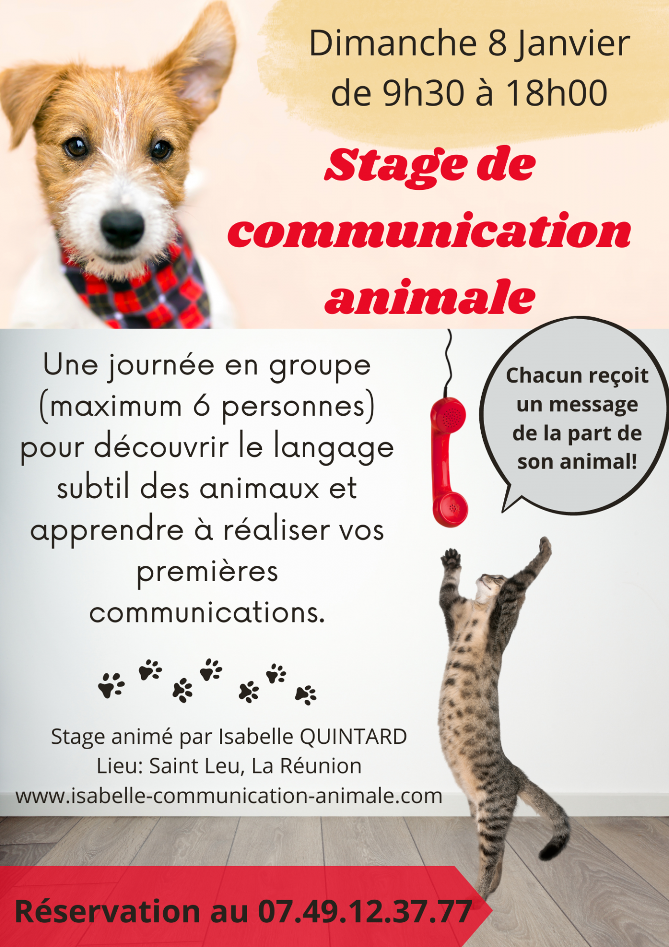 Stage découverte communication animale 8 janvier 23