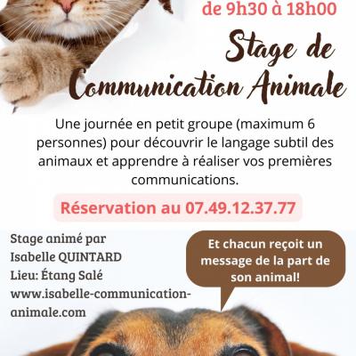 Stage decouverte communication animale 22 janvier 23