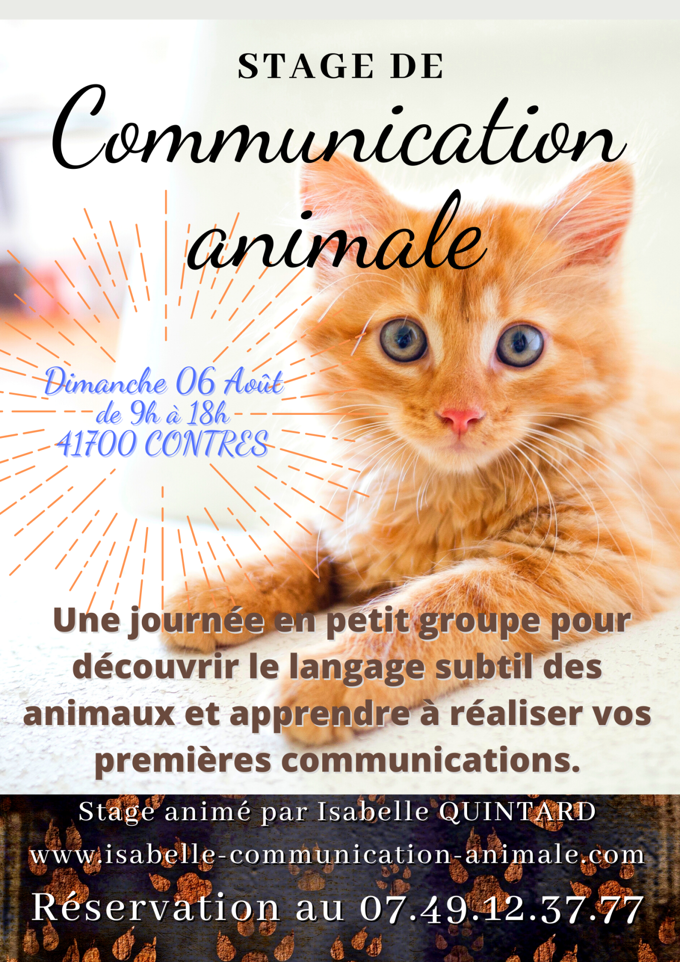 Animal famille