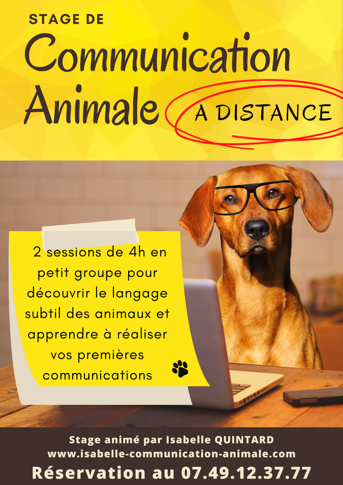 Stage anime par isabelle quintard www isabelle communication animale com reservation au 07 49 12 37 77